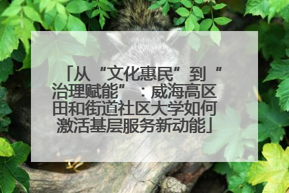 从“文化惠民”到“治理赋能”：威海高区田和街道社区大学如何激活基层服务新动能
