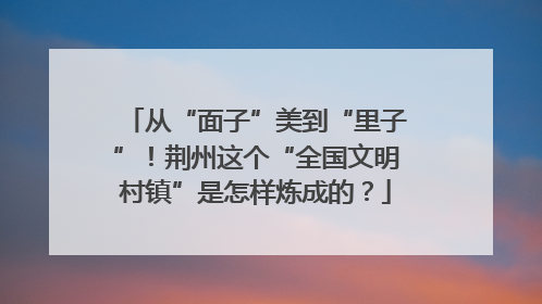 从“面子”美到“里子”！荆州这个“全国文明村镇”是怎样炼成的？