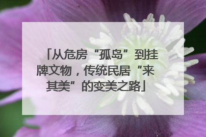 从危房“孤岛”到挂牌文物，传统民居“来其美”的变美之路