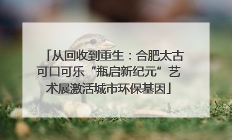 从回收到重生：合肥太古可口可乐“瓶启新纪元”艺术展激活城市环保基因