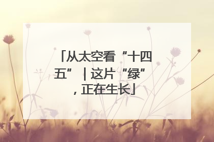 从太空看“十四五”｜这片“绿”，正在生长