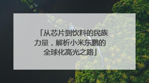 从芯片到饮料的民族力量，解析小米东鹏的全球化高光之路