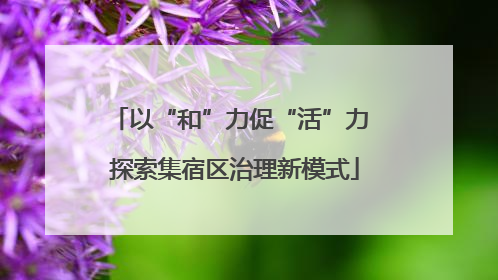 以“和”力促“活”力 探索集宿区治理新模式