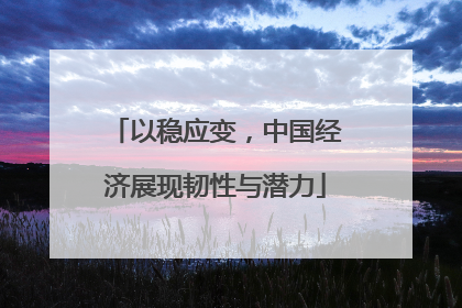 以稳应变，中国经济展现韧性与潜力