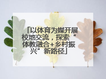 以体育为媒开展校地交流，探索“体教融合+乡村振兴”新路径