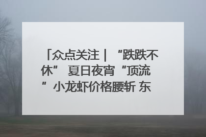 众点关注｜“跌跌不休” 夏日夜宵“顶流”小龙虾价格腰斩 东营人的快乐来了