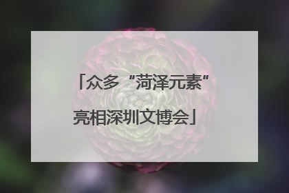 众多“菏泽元素”亮相深圳文博会
