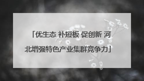 优生态 补短板 促创新 河北增强特色产业集群竞争力