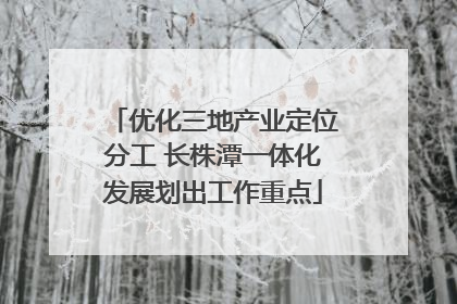 优化三地产业定位分工 长株潭一体化发展划出工作重点