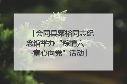 会同县粟裕同志纪念馆举办“粽情六一·童心向党”活动