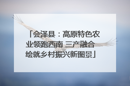 会泽县：高原特色农业领跑西南 三产融合绘就乡村振兴新图景