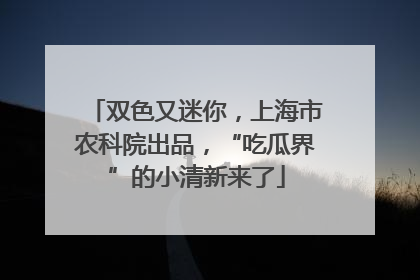 双色又迷你，上海市农科院出品，“吃瓜界”的小清新来了
