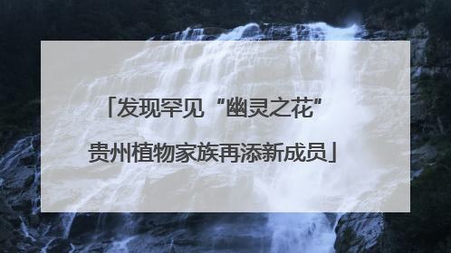 发现罕见“幽灵之花” 贵州植物家族再添新成员