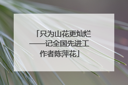 只为山花更灿烂——记全国先进工作者陈萍花