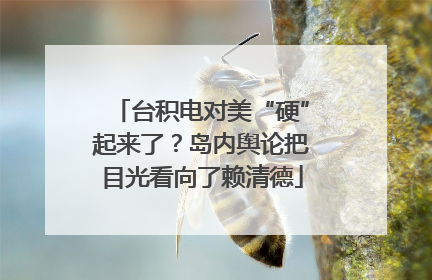 台积电对美“硬”起来了？岛内舆论把目光看向了赖清德