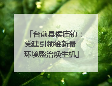 台前县侯庙镇：党建引领绘新景 环境整治焕生机