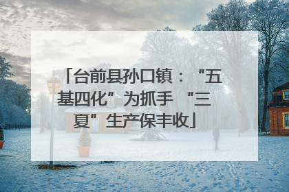 台前县孙口镇：“五基四化”为抓手 “三夏”生产保丰收