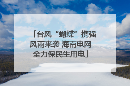 台风“蝴蝶”携强风雨来袭 海南电网全力保民生用电