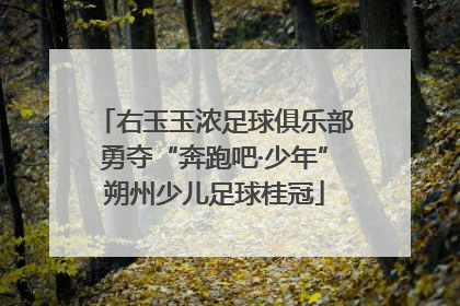 右玉玉浓足球俱乐部勇夺“奔跑吧·少年”朔州少儿足球桂冠