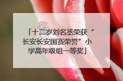 十二岁刘名丞荣获“长安长安国赛荣誉”小学高年级组一等奖