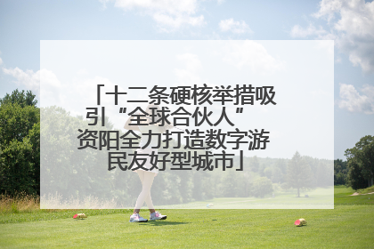 十二条硬核举措吸引“全球合伙人” 资阳全力打造数字游民友好型城市