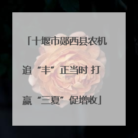 十堰市郧西县农机追“丰”正当时 打赢“三夏”促增收