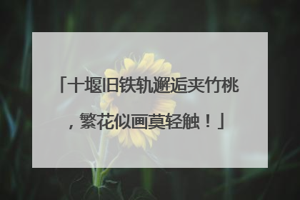 十堰旧铁轨邂逅夹竹桃，繁花似画莫轻触！