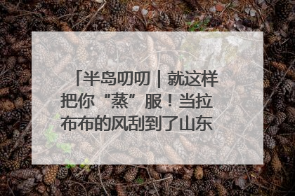 半岛叨叨｜就这样把你“蒸”服！当拉布布的风刮到了山东馒头界……