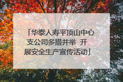 华泰人寿平顶山中心支公司多措并举  开展安全生产宣传活动