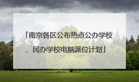 南京各区公布热点公办学校、民办学校电脑派位计划