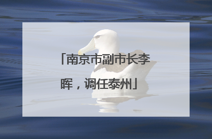南京市副市长李晖，调任泰州
