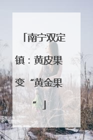 南宁双定镇：黄皮果变“黄金果”