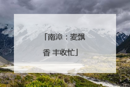南漳：麦飘香 丰收忙