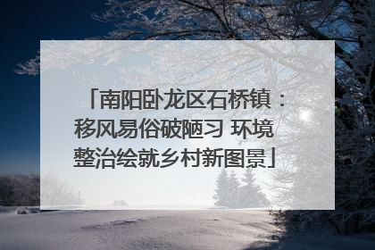 南阳卧龙区石桥镇：移风易俗破陋习 环境整治绘就乡村新图景