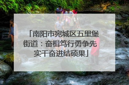 南阳市宛城区五里堡街道：奋楫笃行勇争先 实干奋进结硕果