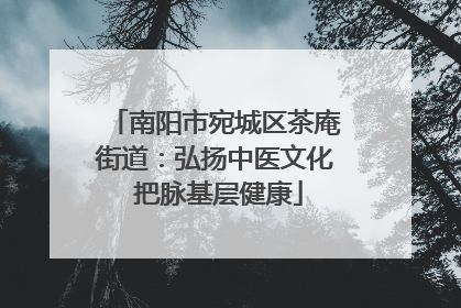 南阳市宛城区茶庵街道：弘扬中医文化 把脉基层健康