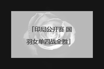 印尼公开赛 国羽女单四战全胜