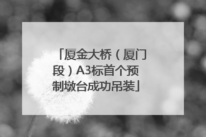 厦金大桥（厦门段）A3标首个预制墩台成功吊装