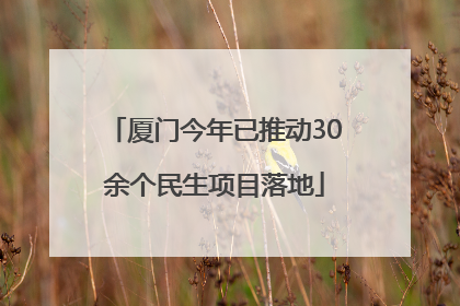 厦门今年已推动30余个民生项目落地