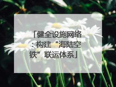 健全设施网络：构建“海陆空铁”联运体系