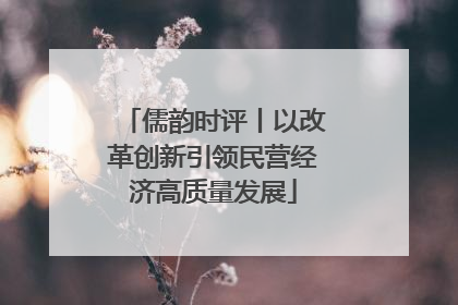儒韵时评丨以改革创新引领民营经济高质量发展