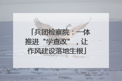 兵团检察院：一体推进“学查改”，让作风建设落地生根