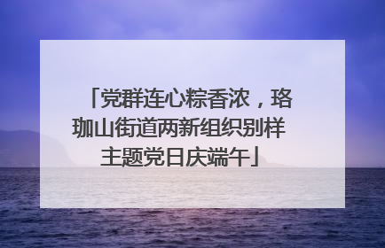 党群连心粽香浓，珞珈山街道两新组织别样主题党日庆端午