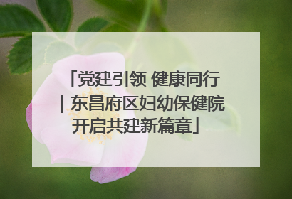 党建引领 健康同行｜东昌府区妇幼保健院开启共建新篇章