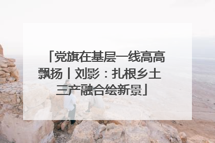 党旗在基层一线高高飘扬丨刘影：扎根乡土 三产融合绘新景