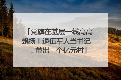 党旗在基层一线高高飘扬丨退伍军人当书记，带出一个亿元村
