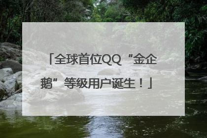 全球首位QQ“金企鹅”等级用户诞生！