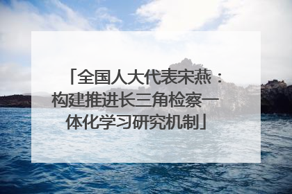 全国人大代表宋燕：构建推进长三角检察一体化学习研究机制