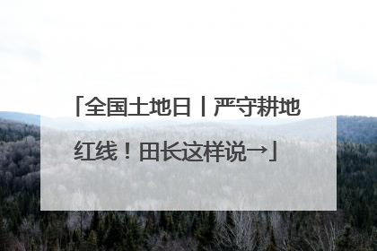 全国土地日丨严守耕地红线！田长这样说→