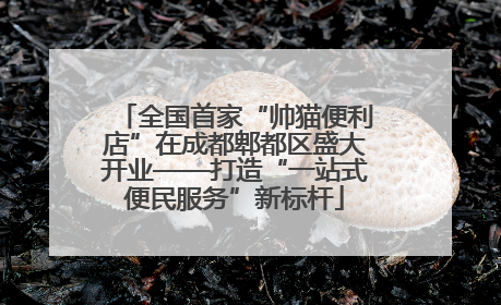 全国首家“帅猫便利店”在成都郫都区盛大开业——打造“一站式便民服务”新标杆